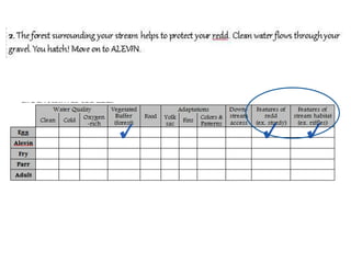 Trout life cycle_presentation