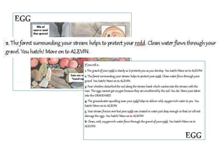 Trout life cycle_presentation