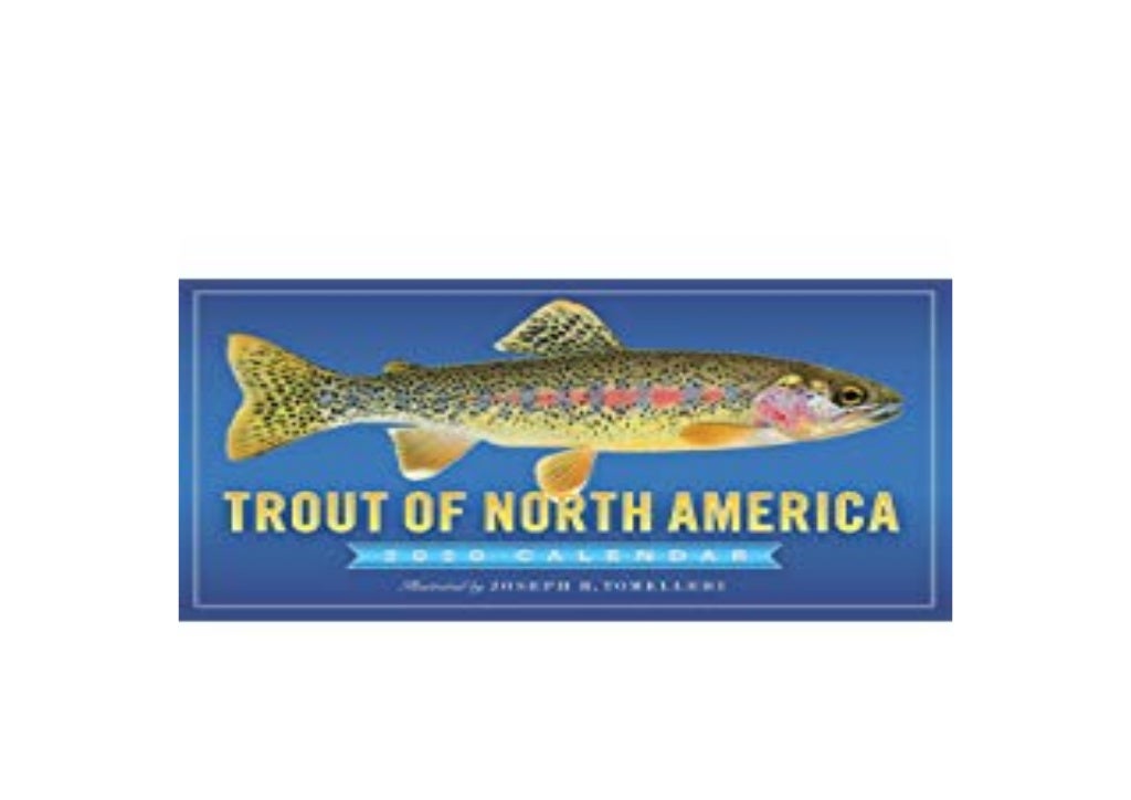 LIBRARY [D.O.W.N.L.O.A.D] Trout of North America Wall Calendar 2020