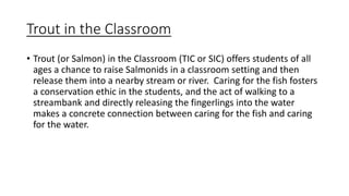 Trout in the Classroom
• Trout (or Salmon) in the Classroom (TIC or SIC) offers students of all
ages a chance to raise Salmonids in a classroom setting and then
release them into a nearby stream or river. Caring for the fish fosters
a conservation ethic in the students, and the act of walking to a
streambank and directly releasing the fingerlings into the water
makes a concrete connection between caring for the fish and caring
for the water.
 