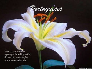 PortuguesesNão vive sem uniãoa paz que lhes dá guarida;diz ser nó, sustentaçãonos alicerces da vida.