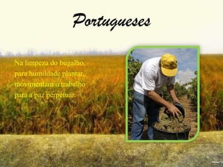 PortuguesesNa limpeza do bugalho,para humildade plantar,movimentam o trabalhopara a paz perpetuar.