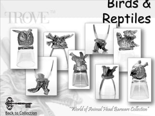 Birds &
Reptiles
Back to Collection
 