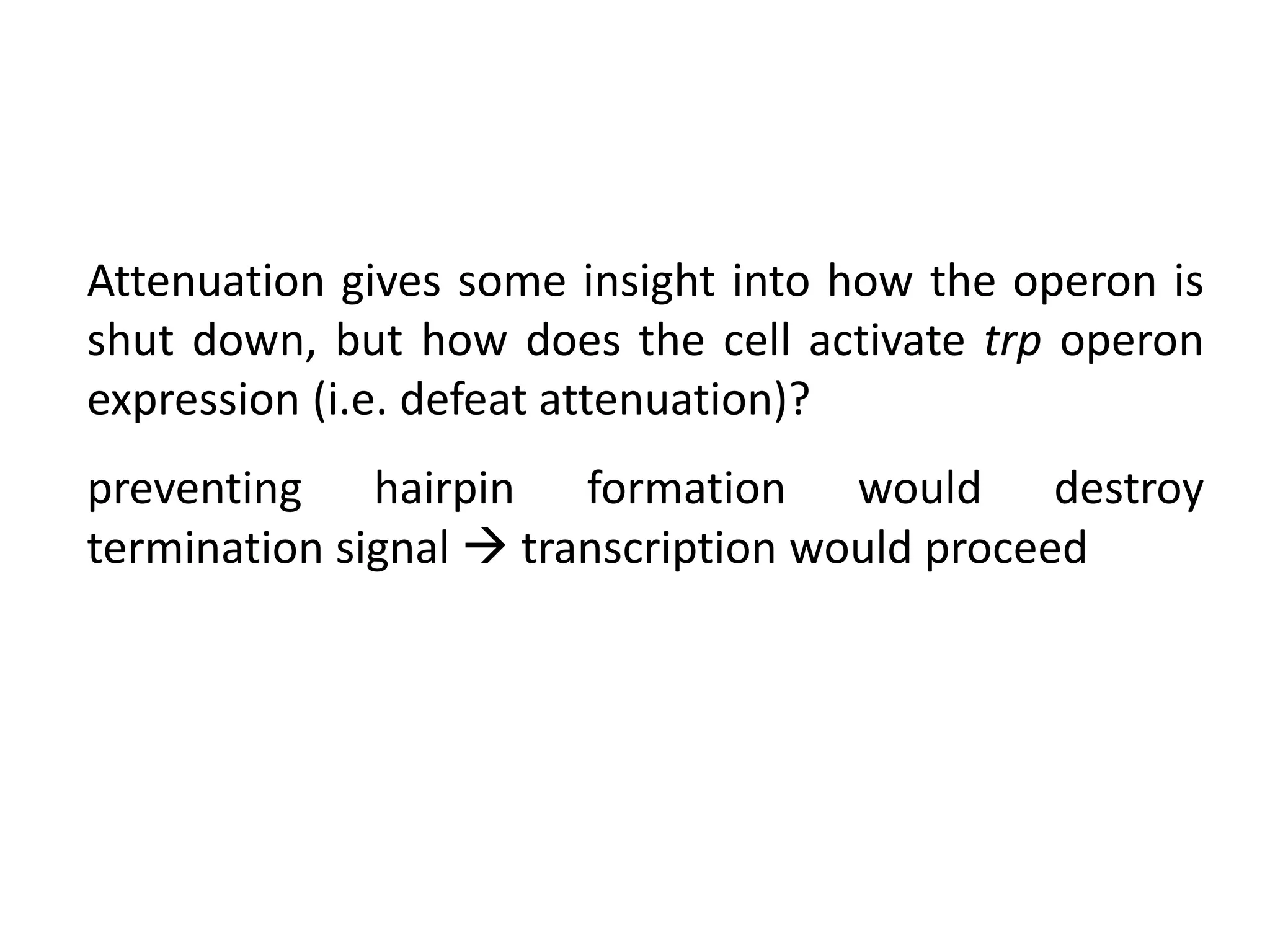 Attenuation gives some insight into how the operon is
shut down, but how does the cell activate trp operon
expression (i.e. defeat attenuation)?
preventing hairpin formation would destroy
termination signal  transcription would proceed
 