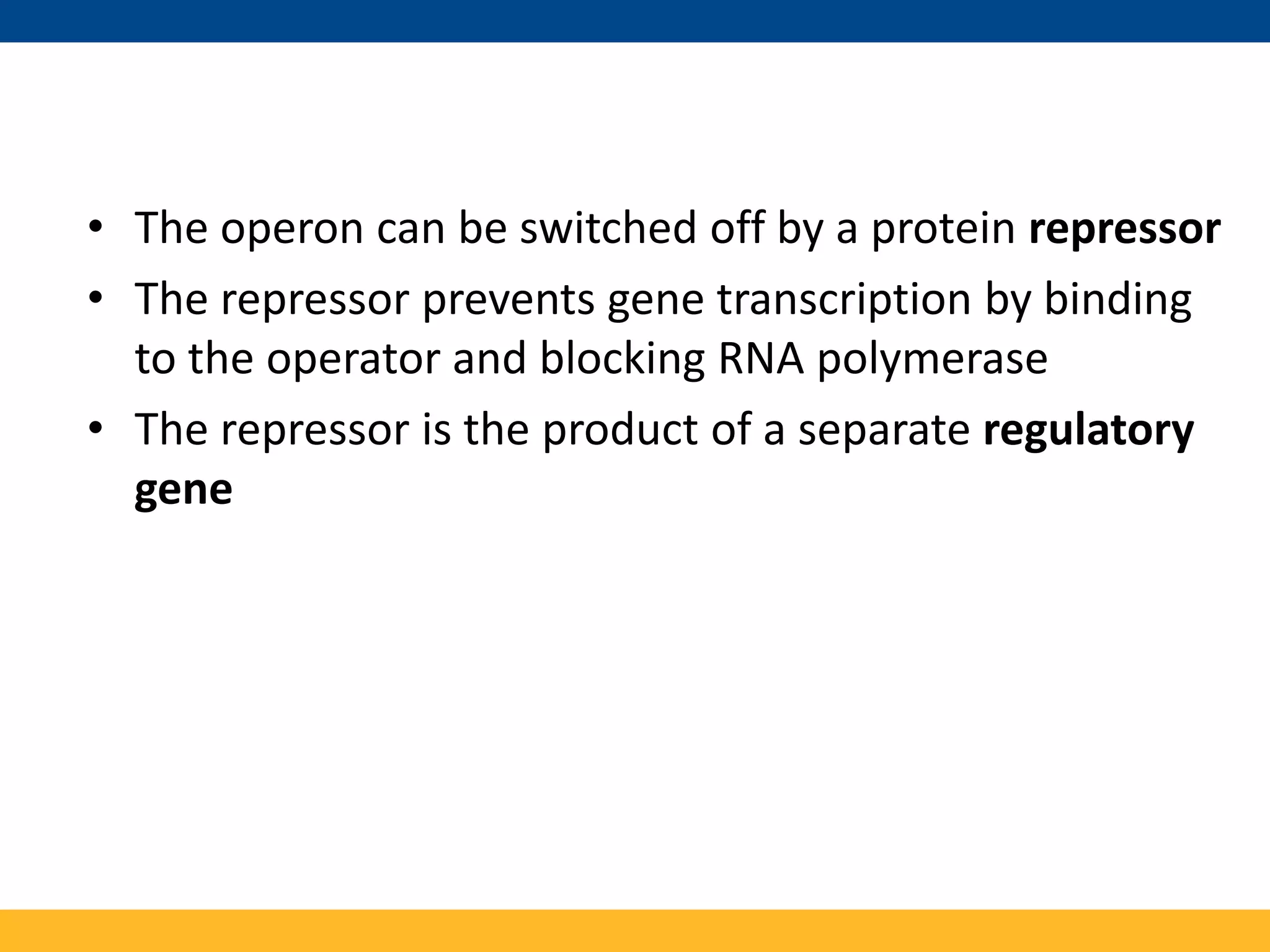 • The operon can be switched off by a protein repressor
• The repressor prevents gene transcription by binding
to the operator and blocking RNA polymerase
• The repressor is the product of a separate regulatory
gene
 