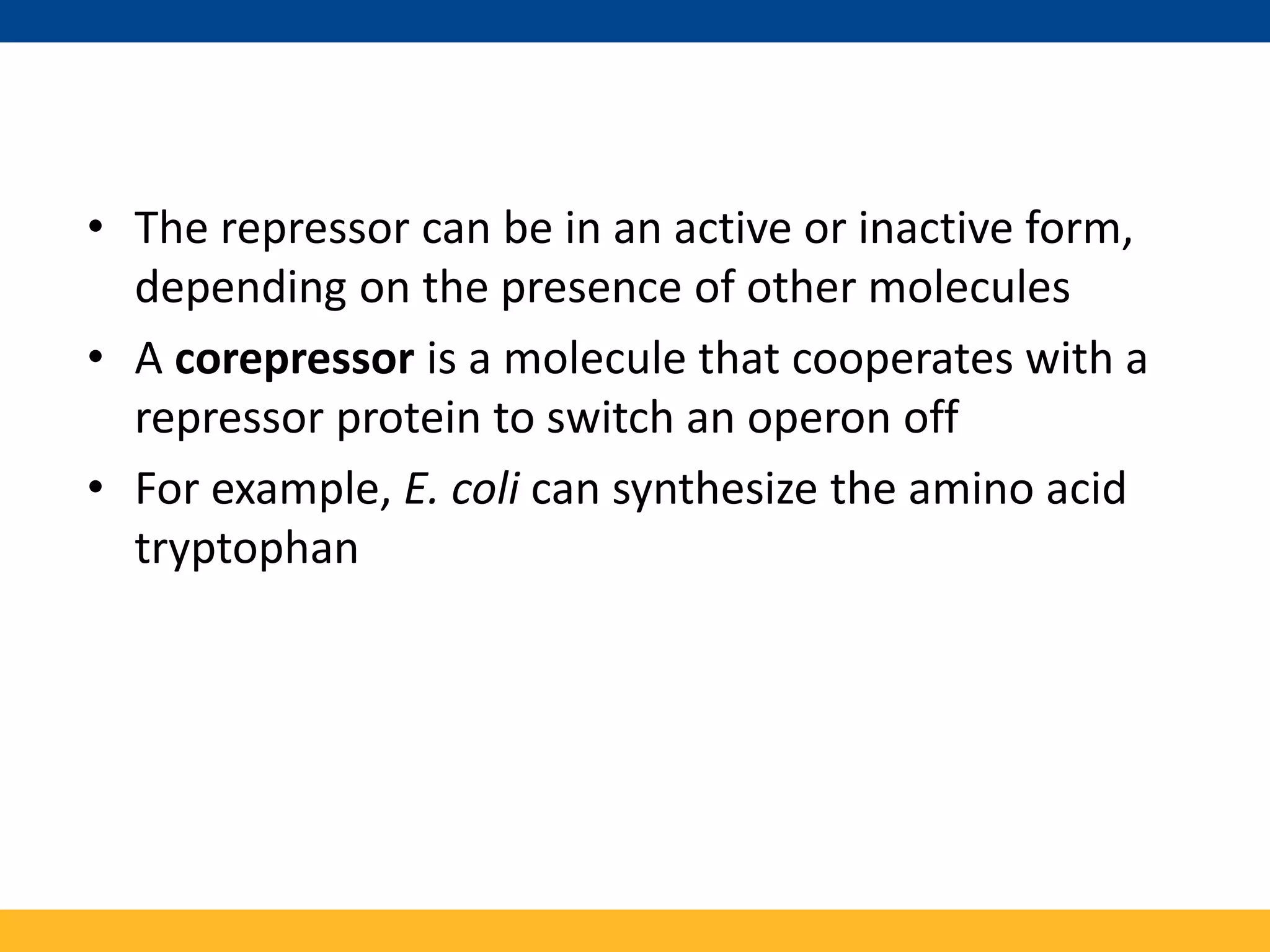 • The repressor can be in an active or inactive form,
depending on the presence of other molecules
• A corepressor is a molecule that cooperates with a
repressor protein to switch an operon off
• For example, E. coli can synthesize the amino acid
tryptophan
 