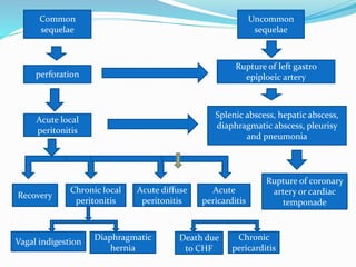 Traumatic reticuloperitonitis , traumatic pericarditis | PPTX