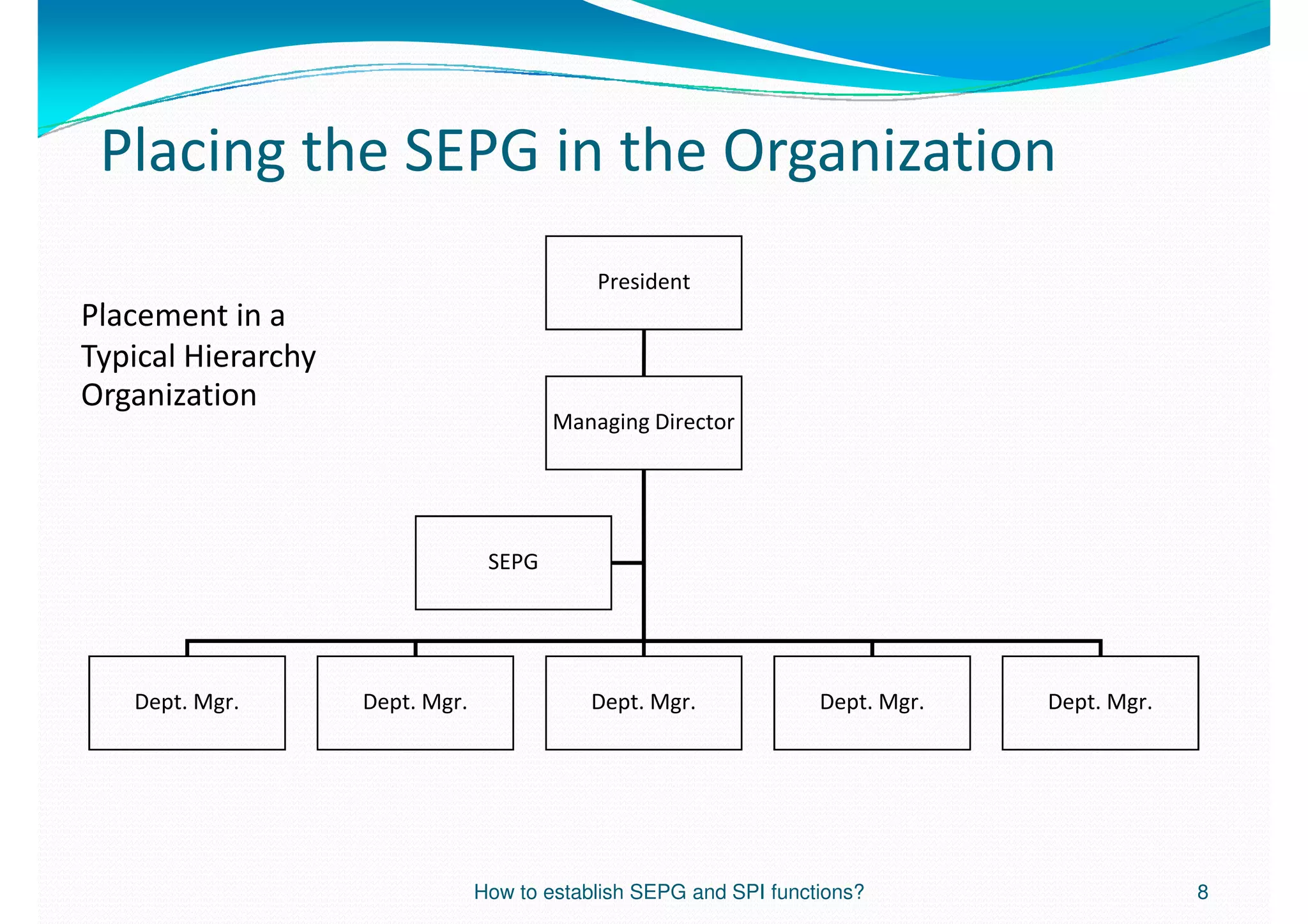 How to establish SEPG and SPI functions? | PDF