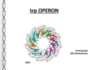 trp OPERON
Amal george
MSc Biochemistry
TRAP
 