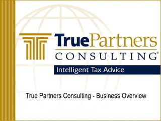 True Partners Consulting - Business Overview 