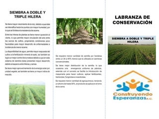 LABRANZA DE 
CONSERVACIÓN 
SIEMBRA A DOBLE Y TRIPLE 
HILERA 
SIEMBRA A DOBLE Y 
TRIPLE HILERA 
 