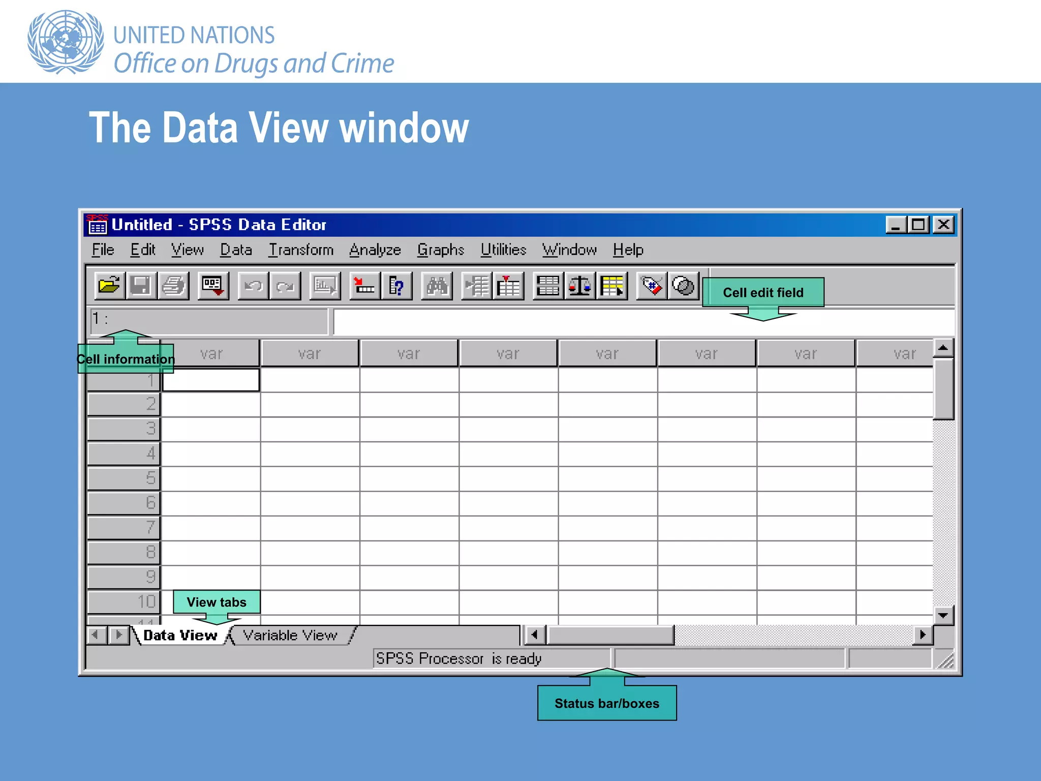 The Data View window
View tabs
Status bar/boxes
Cell edit field
Cell information
 