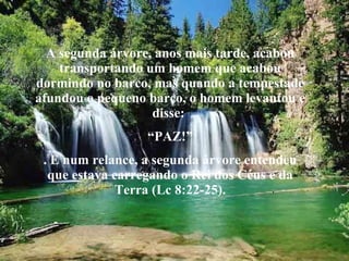 A segunda árvore, anos mais tarde, acabou transportando um homem que acabou dormindo no barco, mas quando a tempestade afundou o pequeno barco, o homem levantou e disse:  “ PAZ!” . E num relance, a segunda árvore entendeu que estava carregando o Rei dos Céus e da Terra (Lc 8:22-25). 