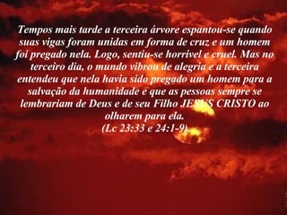 Tempos mais tarde a terceira árvore espantou-se quando suas vigas foram unidas em forma de cruz e um homem foi pregado nela. Logo, sentiu-se horrível e cruel. Mas no terceiro dia, o mundo vibrou de alegria e a terceira entendeu que nela havia sido pregado um homem para a salvação da humanidade e que as pessoas sempre se lembrariam de Deus e de seu Filho JESUS CRISTO ao olharem para ela. (Lc 23:33 e 24:1-9). 