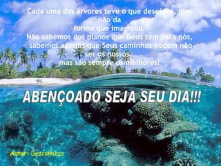 Cada uma das árvores teve o que desejava, mas não da forma que imaginou.  Não sabemos dos planos que Deus tem para nós, sabemos apenas que Seus caminhos podem não ser os nossos,  mas são sempre os melhores! Autor:  Desconheço ABENÇOADO SEJA SEU DIA!!! 