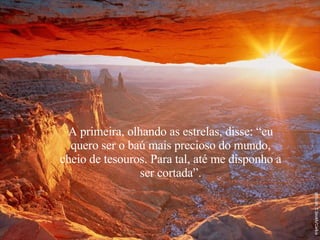 A primeira, olhando as estrelas, disse: “eu quero ser o baú mais precioso do mundo, cheio de tesouros. Para tal, até me disponho a ser cortada”. 