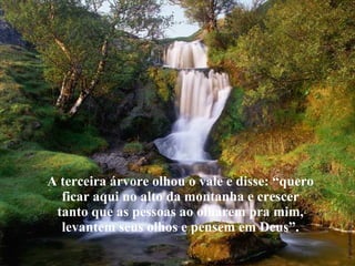 A terceira árvore olhou o vale e disse: “quero ficar aqui no alto da montanha e crescer tanto que as pessoas ao olharem pra mim, levantem seus olhos e pensem em Deus”. 