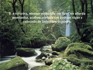 E a terceira, mesmo sonhando em ficar no alto da montanha, acabou cortada em grossas vigas e colocada de lado num depósito. 