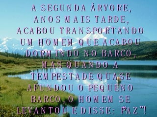 A SEGUNDA ÁRVORE, ANOS MAIS TARDE, ACABOU TRANSPORTANDO UM HOMEM QUE ACABOU DORMINDO NO BARCO, MAS QUANDO A TEMPESTADE QUASE AFUNDOU O PEQUENO BARCO, O HOMEM SE LEVANTOU E DISSE: “PAZ”! 