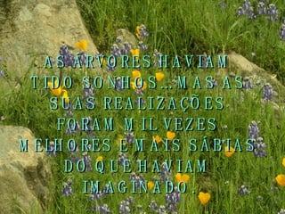AS ÁRVORES HAVIAM TIDO SONHOS... MAS AS SUAS REALIZAÇÕES FORAM MIL VEZES MELHORES E MAIS SÁBIAS DO QUE HAVIAM IMAGINADO. 