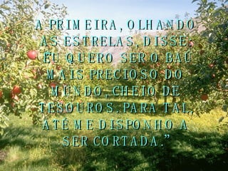 A PRIMEIRA, OLHANDO AS ESTRELAS, DISSE: “EU QUERO SER O BAÚ MAIS PRECIOSO DO MUNDO, CHEIO DE TESOUROS. PARA TAL, ATÉ ME DISPONHO A SER CORTADA.” 