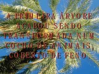 A PRIMEIRA ÁRVORE ACABOU SENDO TRANSFORMADA NUM COCHO DE ANIMAIS, COBERTO DE FENO. 