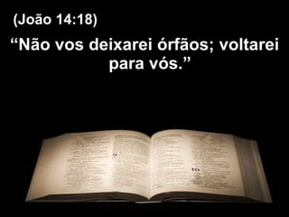 “ Não vos deixarei órfãos; voltarei para vós.” (João 14:18) 