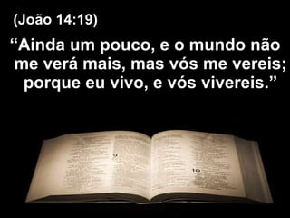 “ Ainda um pouco, e o mundo não me verá mais, mas vós me vereis; porque eu vivo, e vós vivereis.” (João 14:19) 