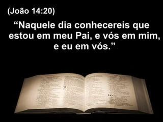 “ Naquele dia conhecereis que estou em meu Pai, e vós em mim, e eu em vós.” (João 14:20) 