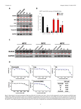Bioorganic Chemistry 151 (2024) 107597
8
Fig. 4. Observations of cell death mechanism of 13a, 5j, and 5i with TG-101209 on the Caki-1 cells at 10 µM compounds for one-day treatment and BUB1B target
binding study. BUB1B and apoptotic protein were investigated by performing western blot analysis (A). Cell viability and necrotic cytotoxicity were observed by
performing MTT and LDH assay (B). Cellular thermal shift assay (CETSA) has been performed to check the binding affinity between BUB1B and the compounds. 45,
55, and 65 ◦
C three different gradient heat shocks were given (C). IC50 value of compounds was calculated for the BUB1B inhibitory enzyme activity (D). * P < 0.05.
Y. Bouzian et al.
 