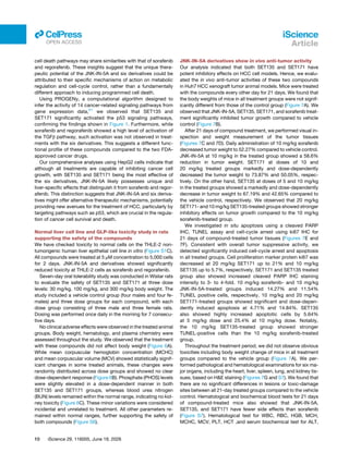 cell death pathways may share similarities with that of sorafenib
and regorafenib. These insights suggest that the unique thera­
peutic potential of the JNK-IN-5A and six derivatives could be
attributed to their specific mechanisms of action on metabolic
regulation and cell-cycle control, rather than a fundamentally
different approach to inducing programmed cell death.
Using PROGENy, a computational algorithm designed to
infer the activity of 14 cancer-related signaling pathways from
gene expression data,61
we observed that SET135 and
SET171 significantly activated the p53 signaling pathways,
confirming the findings shown in Figure 1. Furthermore, while
sorafenib and regorafenib showed a high level of activation of
the TGFβ pathway, such activation was not observed in treat­
ments with the six derivatives. This suggests a different func­
tional profile of these compounds compared to the two FDA-
approved cancer drugs.
Our comprehensive analyses using HepG2 cells indicate that
although all treatments are capable of inhibiting cancer cell
growth, with SET135 and SET171 being the most effective of
the six derivatives, JNK-IN-5A likely possesses unique and
liver-specific effects that distinguish it from sorafenib and regor­
afenib. This distinction suggests that JNK-IN-5A and six deriva­
tives might offer alternative therapeutic mechanisms, potentially
providing new avenues for the treatment of HCC, particularly by
targeting pathways such as p53, which are crucial in the regula­
tion of cancer cell survival and death.
Normal liver cell line and GLP-like toxicity study in rats
supporting the safety of the compounds
We have checked toxicity to normal cells on the THLE-2 non-
tumorigenic human liver epithelial cell line in vitro (Figure S1C).
All compounds were treated at 5 μM concentration to 5,000 cells
for 2 days. JNK-IN-5A and derivatives showed significantly
reduced toxicity at THLE-2 cells as sorafenib and regorafenib.
Seven-day oral tolerability study was conducted in Wistar rats
to evaluate the safety of SET135 and SET171 at three dose
levels: 30 mg/kg, 100 mg/kg, and 300 mg/kg body weight. The
study included a vehicle control group (four males and four fe­
males) and three dose groups for each compound, with each
dose group consisting of three male and three female rats.
Dosing was performed once daily in the morning for 7 consecu­
tive days.
No clinical adverse effects were observed in the treated animal
groups. Body weight, hematology, and plasma chemistry were
assessed throughout the study. We observed that the treatment
with these compounds did not affect body weight (Figure 6A).
While mean corpuscular hemoglobin concentration (MCHC)
and mean corpuscular volume (MCV) showed statistically signif­
icant changes in some treated animals, these changes were
randomly distributed across dose groups and showed no clear
dose-dependent response (Figure 6B). Phosphate (PHOS) levels
were slightly elevated in a dose-dependent manner in both
SET135 and SET171 groups, whereas blood urea nitrogen
(BUN) levels remained within the normal range, indicating no kid­
ney toxicity (Figure 6C). These minor variations were considered
incidental and unrelated to treatment. All other parameters re­
mained within normal ranges, further supporting the safety of
both compounds (Figure S6).
JNK-IN-5A derivatives show in vivo anti-tumor activity
Our analysis indicated that both SET135 and SET171 have
potent inhibitory effects on HCC cell models. Hence, we evalu­
ated the in vivo anti-tumor activities of these two compounds
in Huh7 HCC xenograft tumor animal models. Mice were treated
with the compounds every other day for 21 days. We found that
the body weights of mice in all treatment groups were not signif­
icantly different from those of the control group (Figure 7A). We
observed that JNK-IN-5A, SET135, SET171, and sorafenib treat­
ment significantly inhibited tumor growth compared to vehicle
control (Figure 7B).
After 21 days of compound treatment, we performed visual in­
spection and weight measurement of the tumor tissues
(Figures 7C and 7D). Daily administration of 10 mg/kg sorafenib
decreased tumor weight to 52.27% compared to vehicle control.
JNK-IN-5A at 10 mg/kg in the treated group showed a 58.6%
reduction in tumor weight. SET171 at doses of 10 and
20 mg/kg treated groups markedly and dose-dependently
decreased the tumor weight to 73.87% and 50.05%, respec­
tively. On the other hand, SET135 at doses of 5 and 10 mg/kg
in the treated groups showed a markedly and dose-dependently
decrease in tumor weight to 67.19% and 42.65% compared to
the vehicle control, respectively. We observed that 20 mg/kg
SET171- and 10 mg/kg SET135-treated groups showed stronger
inhibitory effects on tumor growth compared to the 10 mg/kg
sorafenib-treated group.
We investigated in situ apoptosis using a cleaved PARP
IHC, TUNEL assay and cell-cycle arrest using ki67 IHC for
21 days of compound-treated tumor tissues (Figures 7E and
7F). Consistent with overall tumor suppressive activity, we
detected significantly induced cell-cycle arrest and apoptosis
in all treated groups. Cell proliferation marker protein ki67 was
decreased at 20 mg/kg SET171 up to 21% and 10 mg/kg
SET135 up to 5.7%, respectively. SET171 and SET135 treated
group also showed increased cleaved PARP IHC staining
intensity to 3- to 4-fold. 10 mg/kg sorafenib- and 10 mg/kg
JNK-IN-5A-treated groups induced 14.27% and 11.54%
TUNEL positive cells, respectively. 10 mg/kg and 20 mg/kg
SET171-treated groups showed significant and dose-depen­
dently induced apoptosis at 4.71% and 14.84%. SET135
also showed highly increased apoptotic cells by 5.64%
at 5 mg/kg dose and 25.4% at 10 mg/kg dose. Notably,
the 10 mg/kg SET135-treated group showed stronger
TUNEL-positive cells than the 10 mg/kg sorafenib-treated
group.
Throughout the treatment period, we did not observe obvious
toxicities including body weight change of mice in all treatment
groups compared to the vehicle group (Figure 7A). We per­
formed pathological and hematological examinations for six ma­
jor organs, including the heart, liver, spleen, lung, and kidney tis­
sues, based on H&E staining (Figures 7G and S7). We found that
there are no significant differences in lesions or toxic-damage
sites between all 21-day treated groups compared to the vehicle
control. Hematological and biochemical blood tests for 21 days
of compound-treated mice also showed that JNK-IN-5A,
SET135, and SET171 have fewer side effects than sorafenib
(Figure S7). Hematological test for WBC, RBC, HGB, MCH,
MCHC, MCV, PLT, HCT ,and serum biochemical test for ALT,
10 iScience 29, 116005, June 19, 2026
iScience
Article
ll
OPEN ACCESS
 