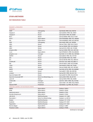 STAR★METHODS
KEY RESOURCES TABLE
REAGENT or RESOURCE SOURCE IDENTIFIER
Antibodies
PARP Cell signaling Cat# 9542S; RRID: AB_2160739
Caspase 3 Abcam Cat# ab32042; RRID: AB_725947
Caspase 9 Abcam Cat# ab2324; RRID: AB_302981
Bcl-2 Abcam Cat# ab182858; RRID: AB_2715467
STAT1 Sigma-Aldrich Cat# HPA000982; RRID: AB_1080099
PKL Sigma-Aldrich Cat# HPA006653; RRID: AB_2667632
PKM Cell signaling Cat# 4053S; RRID: AB_1904096
JNKs Abcam Cat# ab179461; RRID: AB_2744672
JNK1 Abcam Cat# ab199380; RRID: AB_3095624
JNK2 Abcam Cat# ab76125; RRID: AB_1310369
phospho-JNKs Abcam Cat# ab124956; RRID: AB_10973183
c-Jun Sigma-Aldrich Cat# HPA059474; RRID: AB_2684030
phospho-c-Jun Invitrogen Cat# MA5-15115; RRID: AB_10979594
GAPDH Abcam Cat# ab8245; RRID: AB_2107448
p53 Abcam Cat# ab32389; RRID: AB_776981
p21 Abcam Cat# ab109199; RRID: AB_10861551
p-S349 p62 Abcam Cat# ab211324; RRID: AB_2885114
p62 Abcam Cat# ab109012; RRID: AB_2810880
c-Myc Abcam Cat# ab32072; RRID: AB_731658
GPX4 Abcam Cat# ab125066; RRID: AB_10973901
MMP9 Invitrogen Cat# MA5-32705; RRID: AB_2809982
β-actin Abcam Cat# ab8227; RRID: AB_2305186
α-tubulin Abcam Cat# ab7291; RRID: AB_2241126
Goat Anti-Rabbit HRP Abcam Cat# ab205718; RRID: AB_2819160
Goat Anti-mouse IgG-HRP Santa Cruz Biotechology, Inc. Cat# sc2005; RRID: AB_631736
Lamin B1 Abcam Cat# ab16048; RRID: AB_443298
LC3A/LC3B Invitrogen Cat# PA1-16931; RRID: AB_2137583
ki-67 Proteintech Cat# 27309-1-AP; RRID: AB_2756525
Cleaved-PARP Proteintech Cat# 60555-1-Ig; RRID: AB_3743221
Chemicals, peptides, and recombinant proteins
DMEM Sigma-Aldrich Catalog #: D0819
RPMI Sigma-Aldrich Catalog #: R2405
Fetal bovine serum Sigma-Aldrich Catalog #: F7524
Penicillin-Streptomycin Sigma-Aldrich Catalog #: P4333
JNK-IN-5A MedChemExpress Catalog #: HY-15881
Necrostatin-1 Santa Cruz Biotechnology Catalog #: sc-200142
Ebselen MedChemExpress Catalog #: HY-13750
Sorafenib MedChemExpress Catalog #:HY-10201
Regorafenib MedChemExpress Catalog #:HY-10331
Rat tail collagen Sigma-Aldrich Catalog #: C3867
Propodium iodide Sigma-Aldirich Catalog #: P3566
(Continued on next page)
e1 iScience 29, 116005, June 19, 2026
iScience
Article
ll
OPEN ACCESS
 