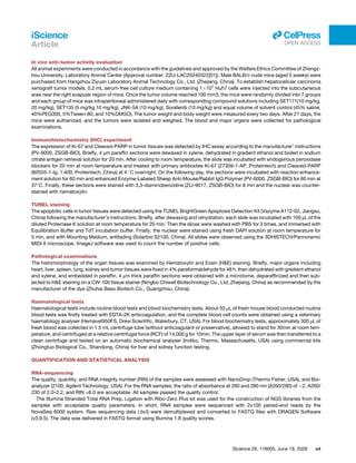 In vivo anti-tumor activity evaluation
All animal experiments were conducted in accordance with the guidelines and approved by the Welfare Ethics Committee of Zhengz­
hou University, Laboratory Animal Center (Approval number: ZZU-LAC20240322[01]). Male BALB/c nude mice (aged 5 weeks) were
purchased from Hangzhou Ziyuan Laboratory Animal Technology Co., Ltd. (Zhejiang, China). To establish hepatocellular carcinoma
xenograft tumor models, 0.2 mL serum-free cell culture medium containing 1×107
Huh7 cells were injected into the subcutaneous
area near the right scapular region of mice. Once the tumor volume reached 100 mm3, the mice were randomly divided into 7 groups
and each group of mice was intraperitoneal administered daily with corresponding compound solutions including SET171(10 mg/kg,
20 mg/kg), SET135 (5 mg/kg,10 mg/kg), JNK-5A (10 mg/kg), Sorafenib (10 mg/kg) and equal volume of solvent control (45% saline,
40%PEG300, 5%Tween-80, and 10%DMSO). The tumor weight and body weight were measured every two days. After 21 days, the
mice were euthanized, and the tumors were isolated and weighed. The blood and major organs were collected for pathological
examinations.
Immunohistochemistry (IHC) experiment
The expression of Ki-67 and Cleaved-PARP in tumor tissues was detected by IHC assay according to the manufacturer’ instructions
(PV-9000, ZSGB-BIO). Briefly, 4 μm paraffin sections were dewaxed in xylene, dehydrated in gradient ethanol and boiled in sodium
citrate antigen retrieval solution for 20 min. After cooling to room temperature, the slide was incubated with endogenous peroxidase
blockers for 20 min at room temperature and treated with primary antibodies Ki-67 (27309-1-AP, Proteintech) and Cleaved-PARP
(60555-1-Ig, 1:400, Proteintech, China) at 4 ◦
C overnight. On the following day, the sections were incubated with reaction enhance­
ment solution for 60 min and enhanced Enzyme-Labeled Sheep Anti-Mouse/Rabbit IgG Polymer (PV-6000, ZSGB-BIO) for 60 min at
37◦
C. Finally, these sections were stained with 3,3-diaminobenzidine (ZLI-9017, ZSGB-BIO) for 8 min and the nuclear was counter­
stained with hematoxylin.
TUNEL staining
The apoptotic cells in tumor tissues were detected using the TUNEL BrightGreen Apoptosis Detection Kit (Vazyme A112-02, Jiangsu,
China) following the manufacturer’s instructions. Briefly, after dewaxing and rehydration, each slide was incubated with 100 μL of the
diluted Proteinase K solution at room temperature for 20 min. Then the slices were washed with PBS for 3 times, and immersed with
Equilibration Buffer and TdT incubation buffer. Finally, the nuclear were stained using fresh DAPI solution at room temperature for
5 min, and with Mounting Medium, antifading (Solarbio S2100, China). All slides were observed using the 3DHISTECH/Pannoramic
MIDI II microscope. ImageJ software was used to count the number of positive cells.
Pathological examinations
The histomorphology of the organ tissues was examined by Hematoxylin and Eosin (H&E) staining. Briefly, major organs including
heart, liver, spleen, lung, kidney and tumor tissues were fixed in 4% paraformaldehyde for 48 h, then dehydrated with gradient ethanol
and xylene, and embedded in paraffin. 4 μm thick paraffin sections were obtained with a microtome, deparaffinized and then sub­
jected to H&E staining on a CW-100 tissue stainer (Ningbo Chiwell Biotechnology Co., Ltd, Zhejiang, China) as recommended by the
manufacturer of the dye (Zhuhai Baso Biotech Co., Guangzhou, China).
Haematological tests
Haematological tests include routine blood tests and blood biochemistry tests. About 50 μL of fresh mouse blood conducted routine
blood tests was firstly treated with EDTA-2K anticoagulation, and the complete blood cell counts were obtained using a veterinary
haematology analyser (Hemavet950FS, Drew Scientific, Waterbury, CT, USA). For blood biochemistry tests, approximately 300 μL of
fresh blood was collected in 1.5 mL centrifuge tube (without anticoagulant or preservative), allowed to stand for 30min at room tem­
perature, and centrifuged at a relative centrifugal force (RCF) of 14,000 g for 10min. The upper layer of serum was then transferred to a
clean centrifuge and tested on an automatic biochemical analyser (Indiko, Thermo, Massachusetts, USA) using commercial kits
(Zhongtuo Biological Co., Shandong, China) for liver and kidney function testing.
QUANTIFICATION AND STATISTICAL ANALYSIS
RNA-sequencing
The quality, quantity, and RNA integrity number (RIN) of the samples were assessed with NanoDrop (Thermo Fisher, USA), and Bio­
analyzer (2100, Agilent Technology, USA). For the RNA samples, the ratio of absorbance at 260 and 280 nm (A260/280) of ∼2, A260/
230 of 2.0–2.2, and RIN >8.0 are acceptable. All samples passed the quality control.
The Illumina Stranded Total RNA Prep, Ligation with Ribo-Zero Plus kit was used for the construction of NGS libraries from the
samples with acceptable quality parameters. In short, RNA samples were sequenced with 2x100 paired-end reads by the
NovaSeq 6000 system. Raw sequencing data (.bcl) were demultiplexed and converted to FASTQ files with DRAGEN Software
(v3.9.5). The data was delivered in FASTQ format using Illumina 1.8 quality scores.
iScience 29, 116005, June 19, 2026 e4
iScience
Article
ll
OPEN ACCESS
 