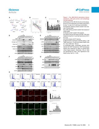 Figure 1. Six JNK-IN-5A derivatives induce
apoptosis, cell-cycle arrest, and autophagy
via p53 pathway
(A) Structure of the JNK-IN-5A and six derivatives.
(B and C) Time-dependent cell viability assay (MTT)
for day 1 to day 4 at 10 μM drug concentration.
(D) Apoptosis pathway proteins western blot anal­
ysis of whole lysate.
(E) p-JNK pathway proteins western blot analysis of
whole lysate.
(F) Nuclear protein western blot analysis.
(G) Cellular thermal shift assay (CETSA). Cells were
treated at 20 μM for 2 h and had heat shock at 55◦
C
for 3 min.
(H) FACS analysis with PI staining.
(I) Mitochondrial membrane potential assay. 2 μM
TMRE staining on 10 μM drug-treated HepG2 cells
for 1 day. Scale bars, 100 μm.
(J) Autophagy assay. Autophagic vacuoles were
stained with GFP fluorescence. GFP fluorescence
signals were measured by region of interest (ROI)
using ImageJ program. Scale bars, 100 μm. Data
are represented as mean ± SD. Significance was
tested using t test (*p < 0.05).
iScience 29, 116005, June 19, 2026 3
iScience
Article
ll
OPEN ACCESS
 