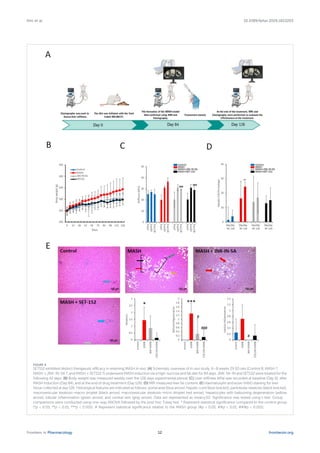 FIGURE 6
SET152 exhibited distinct therapeutic efficacy in reversing MASH in vivo. (A) Schematic overview of in vivo study. 6–8 weeks 29 SD rats (Control 8, MASH 7,
MASH + JNK-IN-5A 7, and MASH + SET152 7) underwent MASH induction via a high-sucrose and fat diet for 84 days. JNK-5A-IN and SET152 were treated for the
following 42 days. (B) Body weight was measured weekly over the 126 days experimental period. (C) Liver stiffness (kPa) was recorded at baseline (Day 0), after
MASH induction (Day 84), and at the end of drug treatment (Day 126). (D) MRI measured liver fat content. (E) Haematoxylin and eosin (H&E) staining for liver
tissue collected at day 126. Histological features are indicated as follows: portal area (blue arrow), hepatic cord (blue bracket), panlobular steatosis (black bracket),
macrovesicular steatosis-macro droplet (black arrow), macrovesicular steatosis-micro droplet (red arrow), hepatocytes with ballooning degeneration (yellow
arrow), lobular inflammation (green arrow), and central vein (gray arrow). Data are represented as mean±SD. Significance was tested using t-test. Group
comparisons were conducted using one-way ANOVA followed by the post hoc Tukey test. * Represent statistical significance compared to the control group
(*p < 0.05, **p < 0.01, ***p < 0.001). # Represent statistical significance relative to the MASH group (#p < 0.05, ##p < 0.01, ###p < 0.001).
Frontiers in Pharmacology frontiersin.org
12
Kim et al. 10.3389/fphar.2026.1823203
 
