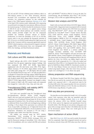 SET-162 and SET-130 that exhibited potent inhibitory effects on
DNL-induced steatosis in vitro. These derivatives effectively
decreased TAG accumulation and suppressed DNL pathway
activation. For comparative purposes, we also evaluated the
impact of the THR-β agonist resmetirom (Harrison et al., 2024)
in the HepG2 DNL steatosis model. Additionally, RNA sequencing
was performed to investigate the transcriptomic differences between
the treatment groups. To further elucidate the mechanisms of action
of JNK-IN-5A and its derivatives, we applied systems biology
analyses to identify altered pathways and metabolic reactions.
These analyses provided insights into how the compounds
modulate key metabolic processes relevant to MASLD.
Furthermore, we tested the tolerability of SET-152 in GLP-like
toxicity study in rats and evaluated the therapeutic potential of
SET-152 in an in vivo MASLD model induced by a high-sucrose and
high-fat diet. Treatment with the compounds significantly improved
MASLD-related symptoms, as demonstrated by magnetic resonance
imaging (MRI), two-dimensional shear wave elastography (2D-
SWE), liver histology, and blood biochemical markers.
Materials and Methods
Cell culture and DNL steatosis induction
HepG2 wild-type cells (ATCC, ATCC HB-8065™, USA) were
purchased from the genome engineering company Synthego. Cells
were maintained with RPMI 1640 (R2405, Sigma-Aldrich)
supplemented with 10% fetal bovine serum (FBS, F7524, Sigma-
Aldrich, Germany), 1% P/S (P4333, Sigma-Aldrich, Germany) and
used within under passage 20.6 × 104
cells HepG2 cells were seeded
into a 96-well plate format for assay, and 1 × 106
cells were plated into a
6-well plate for Western blot and image analysis. DMEM high glucose
(D0819, Sigma-Aldrich, Germany) with 10% FBS, 1% P/S supplemented
with 10 μg/mL insulin (I9278, Sigma-Aldrich, Germany), and 10 µM
T0901317 (T2320, Sigma-Aldrich, Germany) was changed to induce
DNL steatosis in HepG2 cells. DNL steatosis media and compounds
were changed for 1 week, with a 3-day, 2-day, and 2-day cycle.
Triacylglycerol (TAG), cell viability (MTT)
assay, and BODIPY™ staining
TAG levels were quantified using the Triacylglycerol Assay
Kit–Quantification (ab65336, Abcam, United Kingdom).
HepG2 cells were lysed and incubated with 50 µL of assay buffer
containing 2 µL of Cholesterol Esterase/Lipase for 30 min at room
temperature to hydrolyse TAGs. The cell lysate was then mixed with
an additional 100 µL of assay buffer and centrifuged using a tabletop
centrifuge. A 50 µL aliquot of the supernatant was combined with
50 µL of assay buffer containing 2 µL of Triglyceride Enzyme Mix
and 2 µL of OxiRed Probe, followed by a 10-min incubation at room
temperature. Absorbance was measured at 570 nm using a
microplate reader (Hidex Sense Beta Plus, Germany).
Cell viability was assessed using the MTT (M6494,
ThermoFisher, USA) according to the manufacturer’s
instructions. BODIPY™ 493/503 (D3922, Invitrogen, USA) was
used for fluorescent staining of intracellular TAGs. After fixation
with 4% formaldehyde, cells were washed with PBS and incubated
with 2 µM BODIPY™ 493/503 in PBS for 15 min in the dark. For
counterstaining, 100 nM Phalloidin Alexa Fluor™ 594 (A12381,
Invitrogen, USA) in PBS was applied following PBS wash.
Western blot analysis and CETSA
HepG2 cells were lysed with CelLytic M (C2978, Sigma-Aldrich,
Germany) buffer. 20µg protein lysate was prepared with 2x Laemmli
Sample Buffer (1,610,737, Biorad, USA). SDS PAGE was conducted
using Mini-PROTEAN® TGX™ Precast Gels (Bio-Rad) and
transferred by Trans-Blot® Turbo™ Transfer System (Bio-Rad,
USA). FASN (ab22759, Abcam, United Kingdom), ACACA
(NBP2-55439, Novus, USA), ChREBP (ab92809, Abcam,
United Kingdom), SREBP-1C (PA1 337, Invitrogen, USA), SCD-
1 (ab236868, abcam, United Kingdom), STAT1 (HPA000982,
Sweden), JNK1 (ab199380, Abcam, United Kingdom), JNK2
(ab76125, Abcam, United Kingdom), PKL (06653, Sigma-Aldrich,
Germany), PKM (4053S, Cell signalling, USA), Tyr-105 p-PKM
(3827S, Cell signalling, USA), and GAPDH (ab8245, Abcam,
United Kingdom) were blotted as a primary antibody for
overnight. Secondary antibodies, Goat Anti-Rabbit HRP
(ab205718, Abcam, United Kingdom) and goat anti-mouse IgG-
HRP (ab67895, Abcam, United Kingdom) were blotted for 1 hour.
The protein band was detected with ImageQuantTMLAS 500 (29-
0050-63, GE, USA). For CETSA, one million HepG2 cells were
treated with 20 µM compounds for 2 h s. Cells were washed and
prepared into 100 µL PBS in 1.5 mL Eppendorf tube. Heat shock was
given by MultiTherm Shaker (H5000-HC, Benchmark scientific) at
50 °C for 3min 300rpm. Proteins were extracted with freeze thaw
method using liquid nitrogen. After three times freeze and thaw,
samples were centrifuged at 4 °C for 20min max speed.
Library preparation and RNA-sequencing
The Illumina Stranded Total RNA Prep, Ligation with Ribo-
Zero Plus kit was used for the construction of NGS libraries. RNA
samples were sequenced with 2 × 100 paired-end reads by the
NovaSeq 6,000 system. Raw sequencing data (.bcl) was converted to
FastQ with DRAGEN Software (v3.9.5). The data was delivered in
FASTQ format using Illumina 1.8 quality scores.
RNA-seq data pre-processing
The fastq files were first explored by FastQC (v0.11.9) for quality
control. Gene expression count data was quantified using the
standard protocol of Kallisto (v0.48.0). (Bray et al., 2016). We
retrieve the reference cDNA (was GRCh38, Ensembl release
110 for Homo sapiens) for alignment and quantification from the
Ensembl website. After filtering out non-protein-coding genes and
genes with an average count of less than 5, the Kallisto data was used
for the downstream analysis. There were 14,444 genes for the
downstream analysis.
Open mechanism of action (MoA)
Open MoA (Liao et al., 2023) was used to predict the potential
MoA for compounds. Open MoA integrated network was used as
the reference network. Genes with TPM values more than 1.00 were
Frontiers in Pharmacology frontiersin.org
03
Kim et al. 10.3389/fphar.2026.1823203
 
