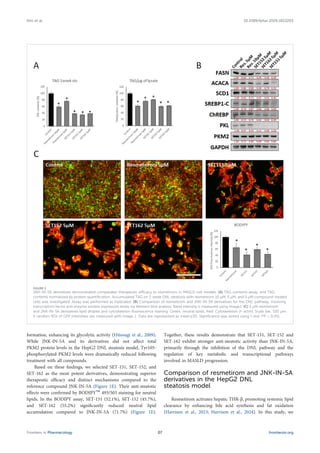 formation, enhancing its glycolytic activity (Hitosugi et al., 2009).
While JNK-IN-5A and its derivatives did not affect total
PKM2 protein levels in the HepG2 DNL steatosis model, Tyr105-
phosphorylated PKM2 levels were dramatically reduced following
treatment with all compounds.
Based on these findings, we selected SET-151, SET-152, and
SET-162 as the most potent derivatives, demonstrating superior
therapeutic efficacy and distinct mechanisms compared to the
reference compound JNK-IN-5A (Figure 1E). Their anti-steatotic
effects were confirmed by BODIPY™ 493/503 staining for neutral
lipids. In the BODIPY assay, SET-151 (52.1%), SET-152 (45.7%),
and SET-162 (55.2%) significantly reduced neutral lipid
accumulation compared to JNK-IN-5A (71.7%) (Figure 1E).
Together, these results demonstrate that SET-151, SET-152 and
SET-162 exhibit stronger anti-steatotic activity than JNK-IN-5A,
primarily through the inhibition of the DNL pathway and the
regulation of key metabolic and transcriptional pathways
involved in MASLD progression.
Comparison of resmetirom and JNK-IN-5A
derivatives in the HepG2 DNL
steatosis model
Resmetirom activates hepatic THR-β, promoting systemic lipid
clearance by enhancing bile acid synthesis and fat oxidation
(Harrison et al., 2023; Harrison et al., 2024). In this study, we
FIGURE 2
JNK-IN-5A derivatives demonstrated comparable therapeutic efficacy to resmetirom in MASLD cell models. (A) TAG contents assay, and TAG
contents normalized by protein quantification. Accumulated TAG on 1-week DNL steatosis with resmetirom 10 µM, 5 µM, and 5 µM compound-treated
cells was investigated. Assay was performed as triplicated. (B) Comparison of resmetirom and JNK-IN-5A derivatives for the DNL pathway, involving
transcription factor and enzyme protein expression levels via Western blot analysis. Band intensity is measured using ImageJ. (C) 5 µM resmetirom
and JNK-IN-5A derivatives lipid droplet and cytoskeleton fluorescence staining. Green: neutral lipids, Red: Cytoskeleton (F-actin), Scale bar, 100 µm.
5 random ROI of GFP intensities are measured with Image J. Data are represented as mean±SD. Significance was tested using t-test (*P < 0.05).
Frontiers in Pharmacology frontiersin.org
07
Kim et al. 10.3389/fphar.2026.1823203
 