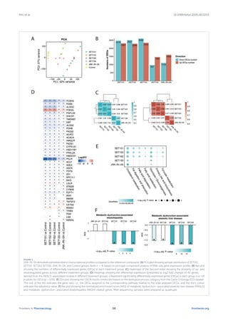 FIGURE 3
JNK-IN-5A derivatives exhibited distinct transcriptional profiles compared to the reference compound. (A) PCA plot showing sample distribution of SET151,
SET152, SET162, SET130, JNK-IN-5A, and Control groups (both n = 4) based on principal component analysis of RNA-seq gene expression profile. (B) Bar plot
showing the numbers of differentially expressed genes (DEGs) in each treatment group. (C) Heatmaps of the Jaccard index showing the similarity of up- and
downregulated genes across different treatment groups. (D) Heatmap showing the differential expression (presented as log2 fold change) of 40 genes
derived from the MASLD-associated module in different treatment groups. p Represent significantly differentially expressed genes (DEGs) in each group (cut-off
p values for DEGs (p < 0.05). (E) Dot plot showing the GSOA results conducted based on the biological process category from the Gene Ontology (GO) dataset.
The size of the dot indicates the gene ratio, i.e., the DEGs assigned to the corresponding pathway relative to the total analysed DEGs., and the dot’s colour
indicates the adjusted p value. (F) Bar plot showing the normalized enrichment score (NES) of metabolic dysfunction–associated steatotic liver disease (MASLD)
and metabolic dysfunction–associated steatohepatitis (MASH) related genes. RNA sequencing samples were prepared as quadruple.
Frontiers in Pharmacology frontiersin.org
08
Kim et al. 10.3389/fphar.2026.1823203
 