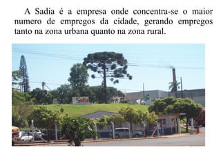 A Sadia é a empresa onde concentra-se o maior
numero de empregos da cidade, gerando empregos
tanto na zona urbana quanto na zona rural.
 