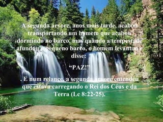 A segunda árvore, anos mais tarde, acabou transportando um homem que acabou dormindo no barco, mas quando a tempestade afundou o pequeno barco, o homem levantou e disse:  “ PAZ!” . E num relance, a segunda árvore entendeu que estava carregando o Rei dos Céus e da Terra (Lc 8:22-25). 