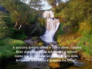 A terceira árvore olhou o vale e disse: “quero ficar aqui no alto da montanha e crescer tanto que as pessoas ao olharem pra mim, levantem seus olhos e pensem em Deus”. 