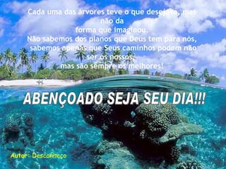 Cada uma das árvores teve o que desejava, mas não da forma que imaginou.  Não sabemos dos planos que Deus tem para nós, sabemos apenas que Seus caminhos podem não ser os nossos,  mas são sempre os melhores! Autor:  Desconheço ABENÇOADO SEJA SEU DIA!!! 