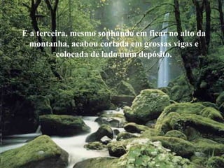 E a terceira, mesmo sonhando em ficar no alto da montanha, acabou cortada em grossas vigas e colocada de lado num depósito. 