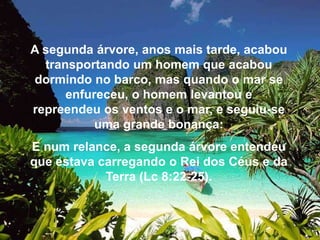 A segunda árvore, anos mais tarde, acabou
transportando um homem que acabou
dormindo no barco, mas quando o mar se
enfureceu, o homem levantou e
repreendeu os ventos e o mar, e seguiu-se
uma grande bonança:

E num relance, a segunda árvore entendeu
que estava carregando o Rei dos Céus e da
Terra (Lc 8:22-25).

 