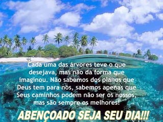 Cada uma das árvores teve o que
desejava, mas não da forma que
imaginou. Não sabemos dos planos que
Deus tem para nós, sabemos apenas que
Seus caminhos podem não ser os nossos,
mas são sempre os melhores!

 