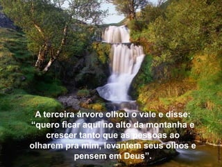 A terceira árvore olhou o vale e disse:
“quero ficar aqui no alto da montanha e
crescer tanto que as pessoas ao
olharem pra mim, levantem seus olhos e
pensem em Deus”.

 