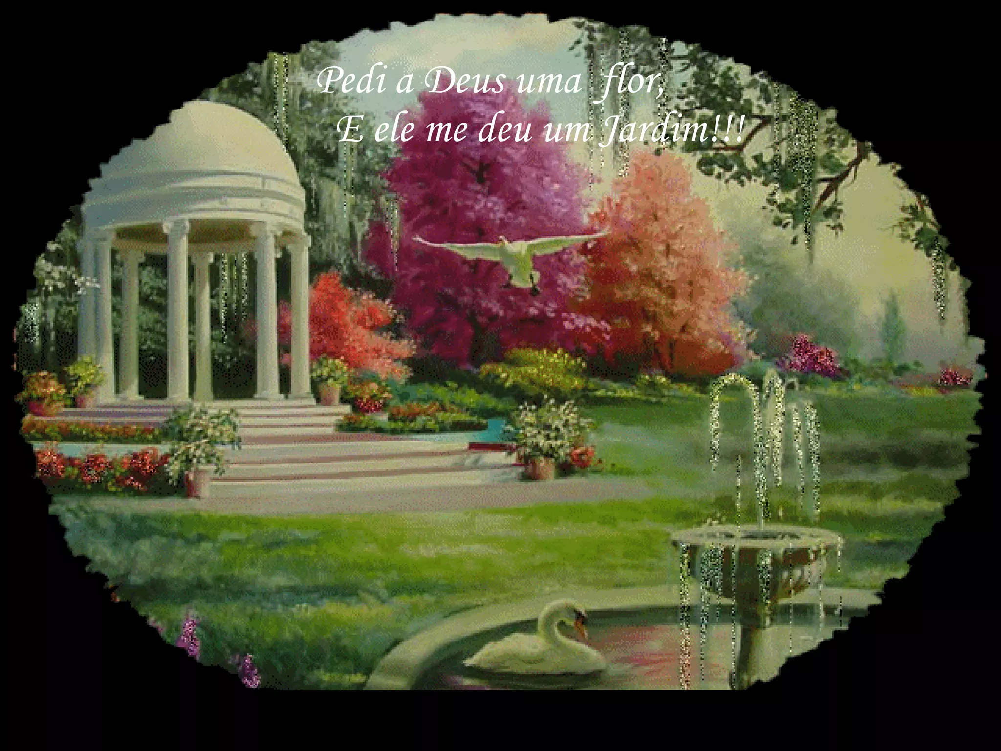 Pedi a Deus uma  flor,  E ele me deu um Jardim!!!  