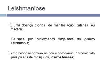 Leishmaniose
É uma doença crônica, de manifestação  cutânea  ou
visceral;
Causada por protozoários flagelados do gênero
Leishmania;
É uma zoonose comum ao cão e ao homem, é transmitida
pela picada de mosquitos, insetos fêmeas;
 