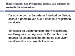 Reportagem: EmPesqueira, índios são vítimas de
surto de Leishmaniose
 De acordo com a Secretaria Estadual de Saúde,
essa é a primeira vez que a doença é registrada
na aldeia.
 19  casos de Leishmaniose foram registrados,
em Pesqueira, no Agreste de Pernambuco. A
doença foi diagnosticada em índios que vivem
na aldeia dos Xucurus de Ororubá.
 