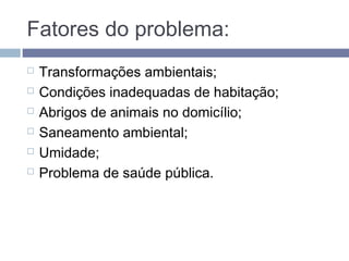 Fatores do problema:
 Transformações ambientais;
 Condições inadequadas de habitação;
 Abrigos de animais no domicílio;
 Saneamento ambiental;
 Umidade;
 Problema de saúde pública.
 